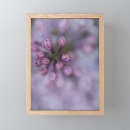 Lilacs Framed Mini Art Print