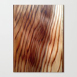 Wood Texture Canvas Print