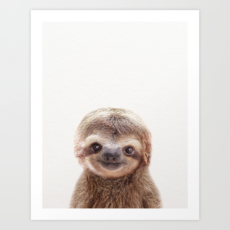 Baby Sloth Baby Animals Art Print By Synplus Art Print By Synplus Society6