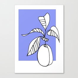  Contour drawing of a plum. Canvas Print