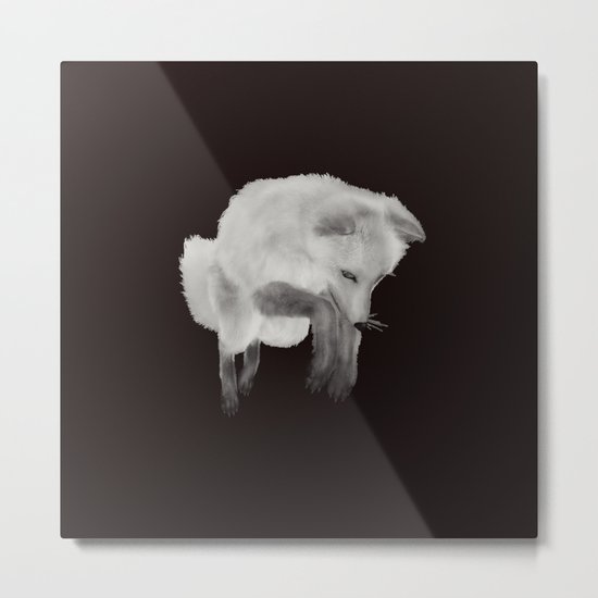 Fox loup renard Metal Print