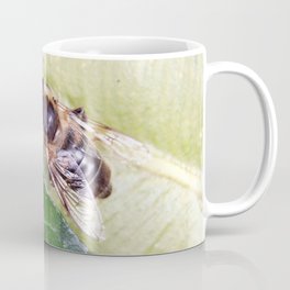 Drone or Hover Fly Coffee Mug