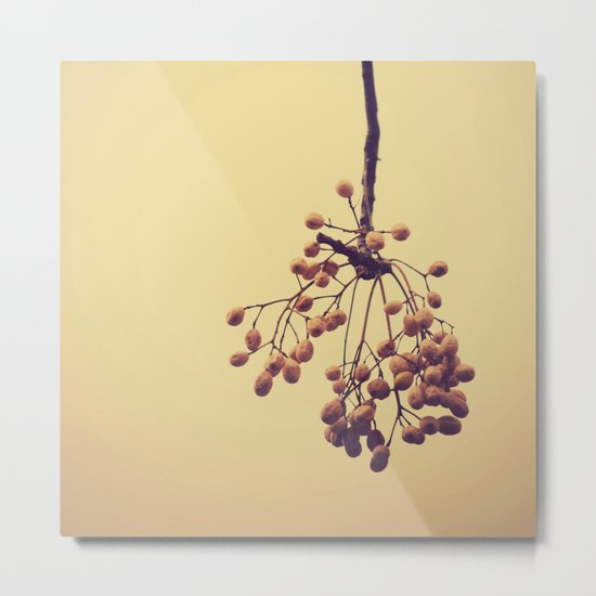 Autumn life (IV) Metal Print