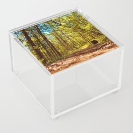 Forest Trail Acrylic Box