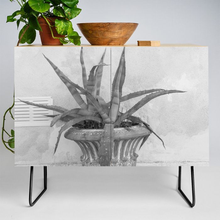 Agave Dream in Athens #2 #minimal #wall #art #society6 Credenza