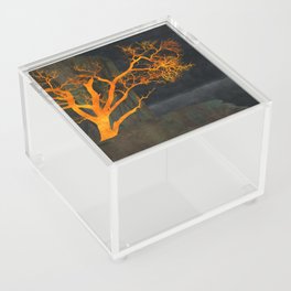 Tree | Cliff Acrylic Box