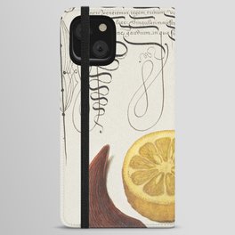 Calligraphic slug and flowers poster iPhone Wallet Case