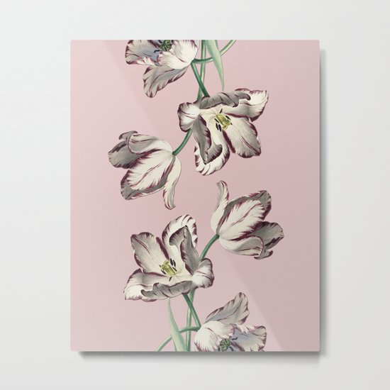 Spring Tulipa Metal Print