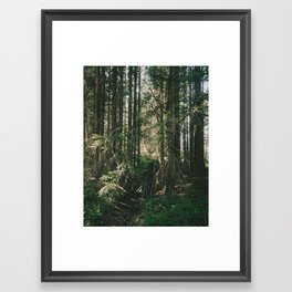 Nordic Woodland  Framed Art Print