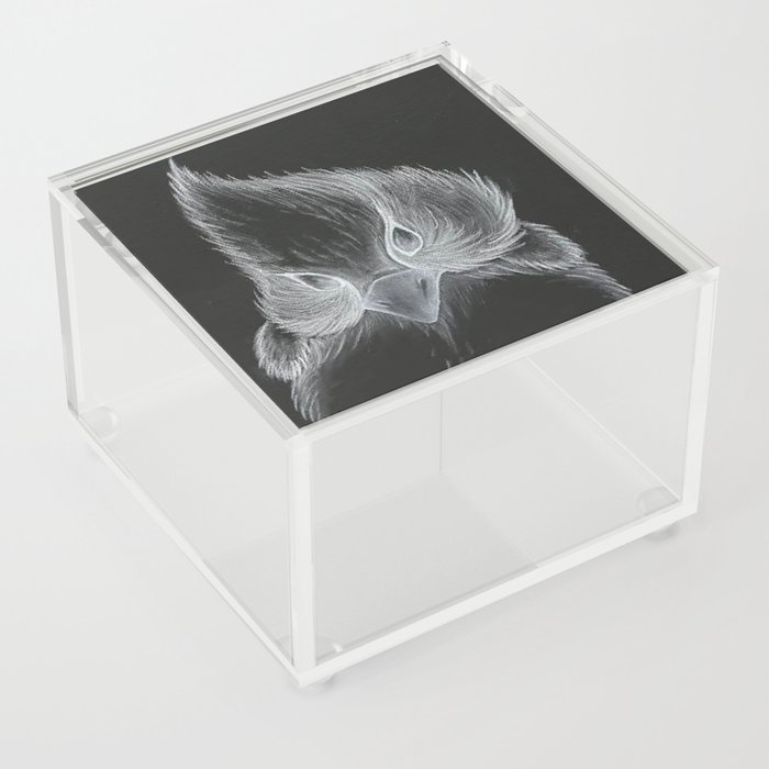 Birdie Acrylic Box