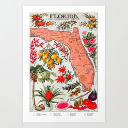 Florida The Everglades State Map Vintage Advertisement Art Print