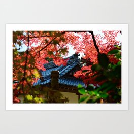 Kyoto Temples Art Print