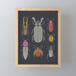 Beetle Specimens Framed Mini Art Print
