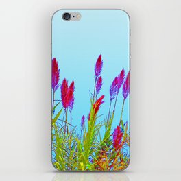 Flowering Pampas Grass Colorful Plumes iPhone Skin
