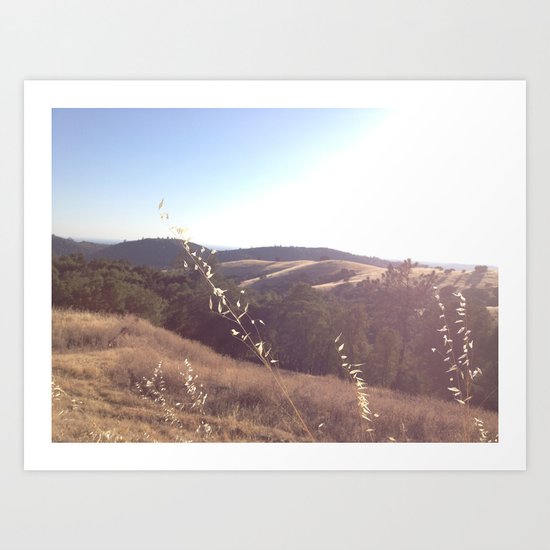 California Art Print