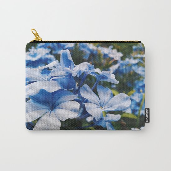 Dainty Carry-All Pouch