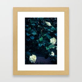 The Biltmore Series 18 Framed Art Print
