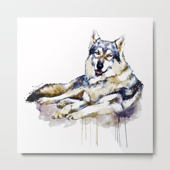 Smiling Wolf Metal Print