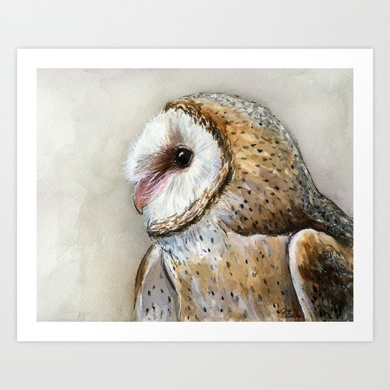 Barn Owl Watercolor | Birds Of Prey Wild Animals Owls Art Print