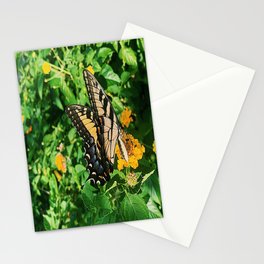 Butterfly Stationery Cards