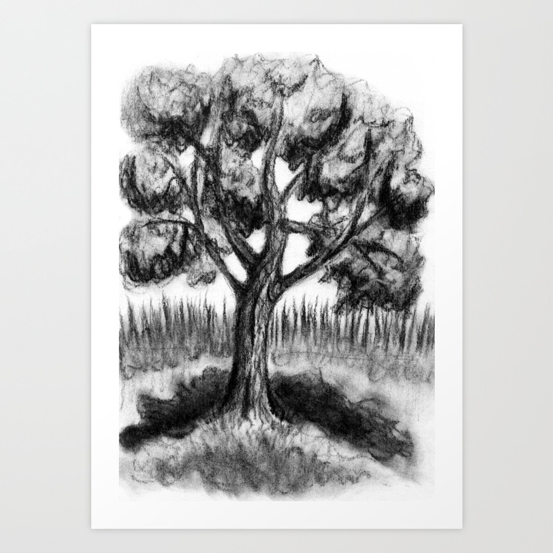 Black And White Maple Tree In Charcoal Art Print By Ilylilyart Society6 Black And White Maple Tree In Charcoal Art Print By Ilylilyart Society6