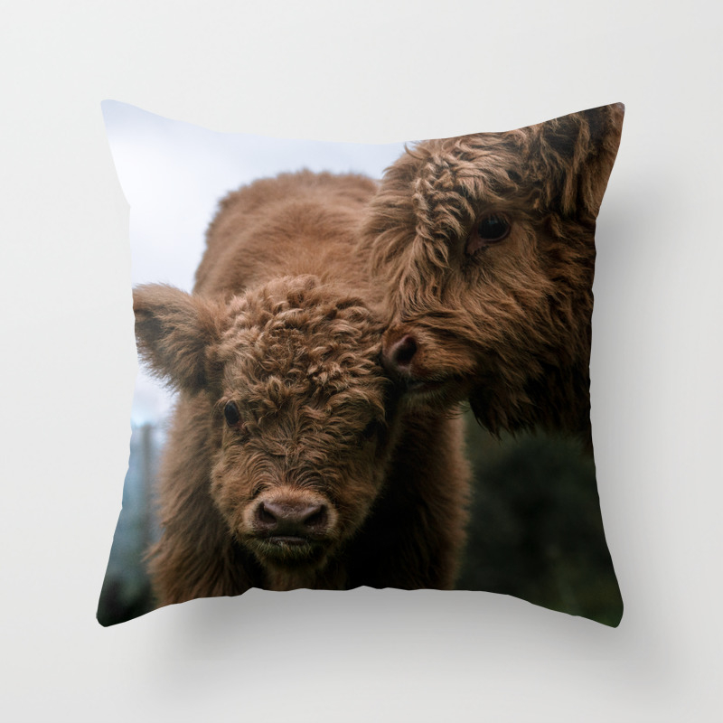 Scottish Highland Cattle Calves Babies Playing Throw Pillow By