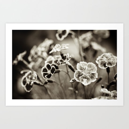 Where Wild Bee Wings Fly Art Print