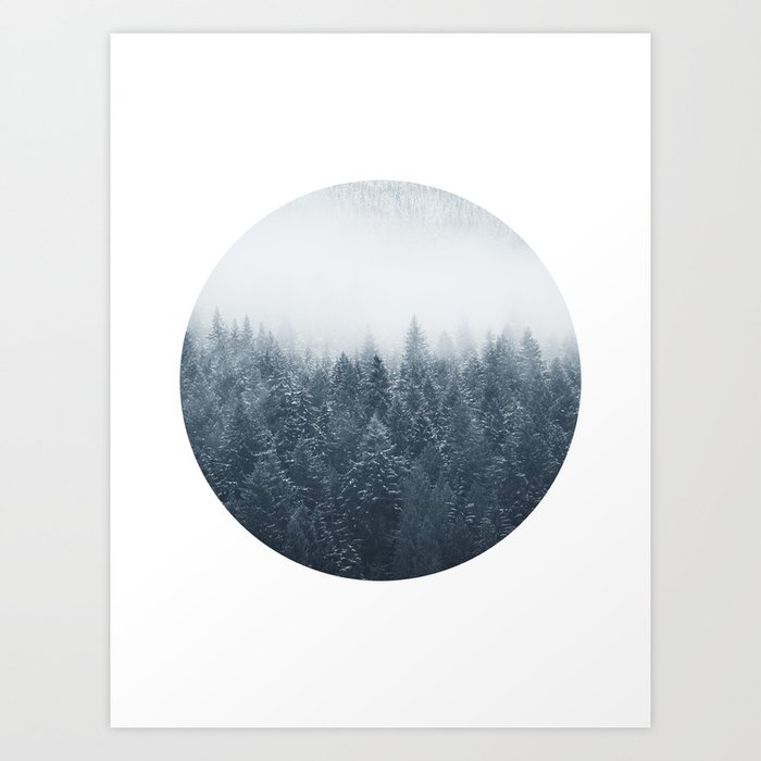 Blue and White Landscape, - Forest Photography No. 3 Art Print