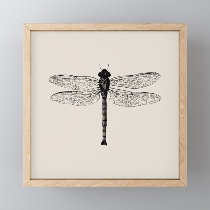 Botanical Line - Dragonfly Framed Mini Art Print