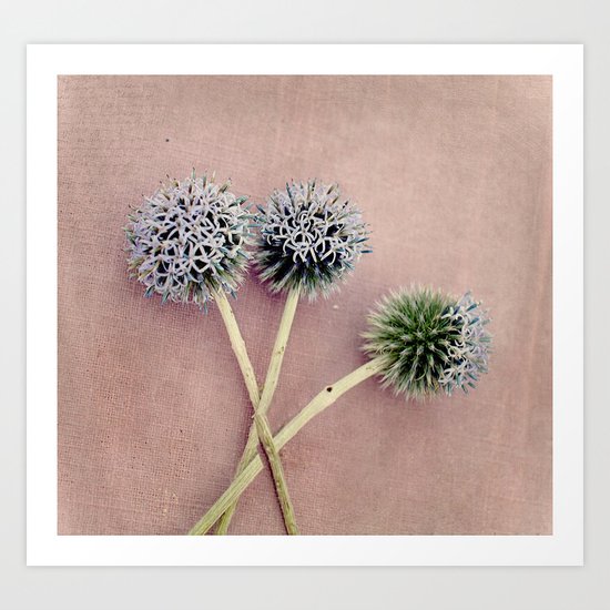 Three for Me Art Print