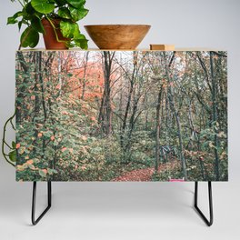Forest Trail Credenza