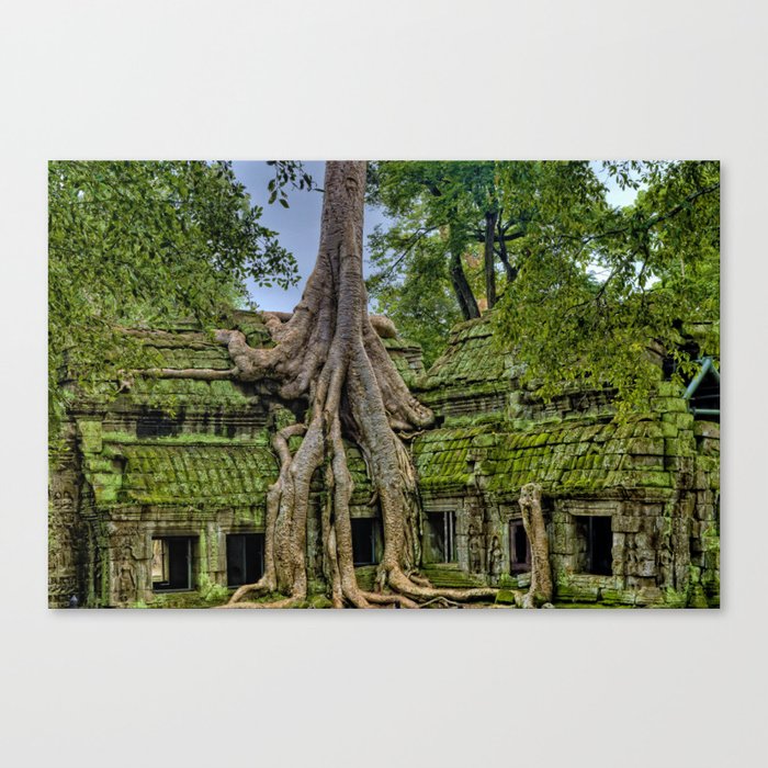 Ancient tree roots growing on Angkor Wat Temple Ruins Photographic Print Canvas Print