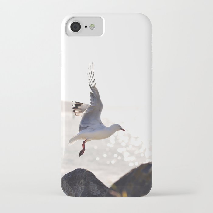 Seagull takes flight over Dunedin's MacAndrew Bay iPhone Case