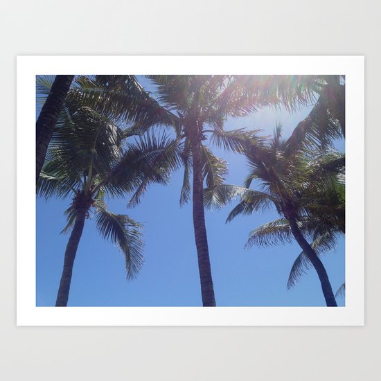 Florida Palms Art Print