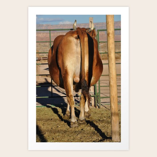 ANIMAL Art Print