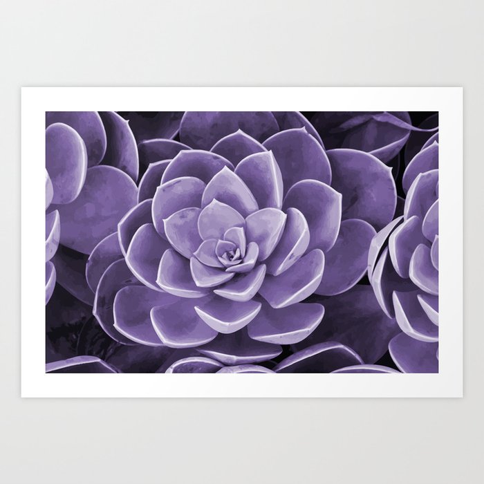 succulent Blossom violet color Art Print