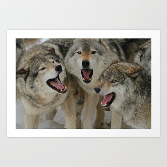 Watching Youtube Art Print