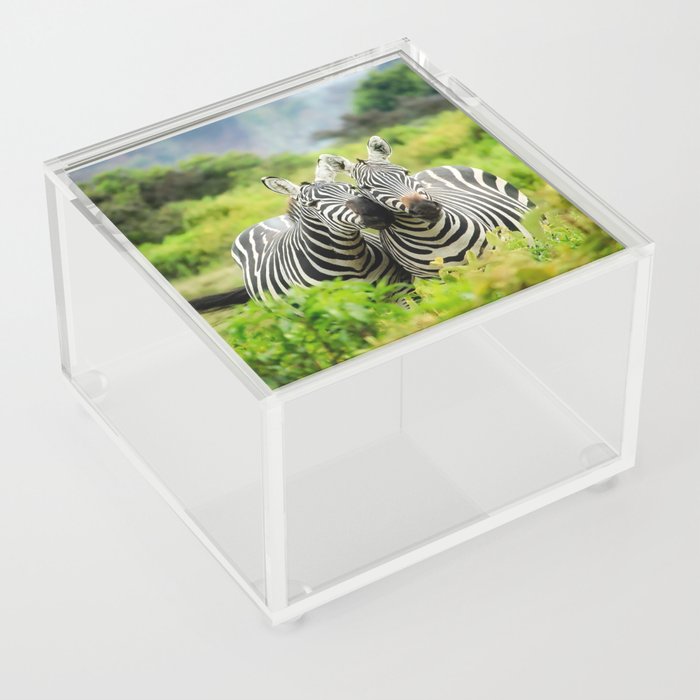 South Africa Photography - Two Zebras In Love Acrylic Box