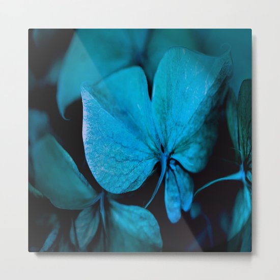 Shiny turquoise petals on a black background - #society6 #buyart Metal Print