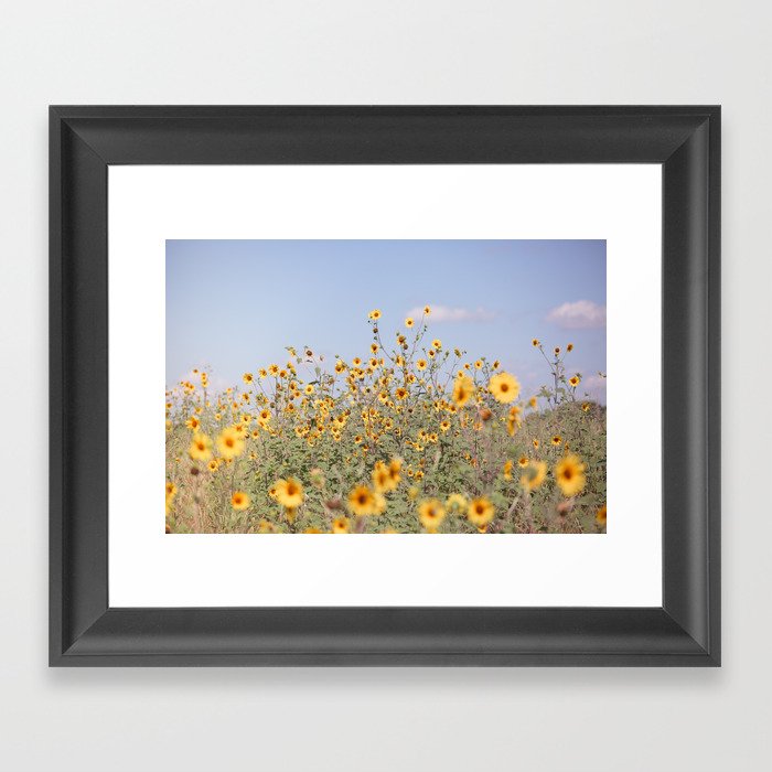 Dreaming of Sun x Texas Sunflowers Framed Art Print