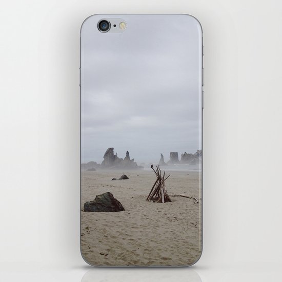 Bandon Beach Bird iPhone & iPod Skin