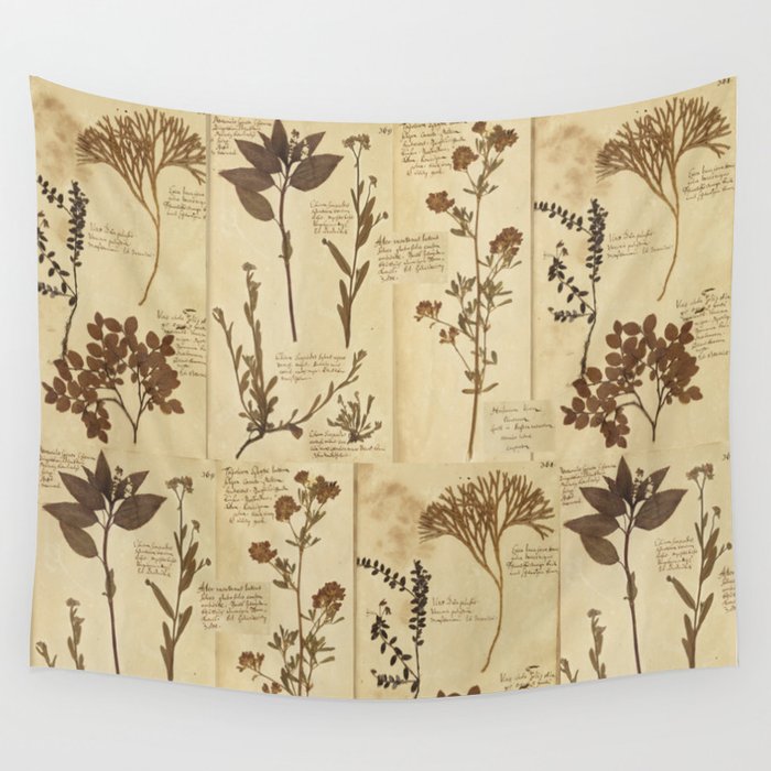 Dried plants - Vintage Herbarium Wall Tapestry by Deco Eco