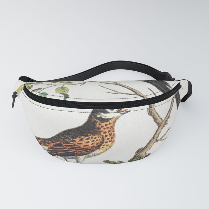 Vintage bird illustration Fanny Pack