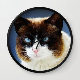 Blue eyed cat portrait | Pretty kitty in Capri, Italy | Mediterranean eyes fluffy cat Wall Clock