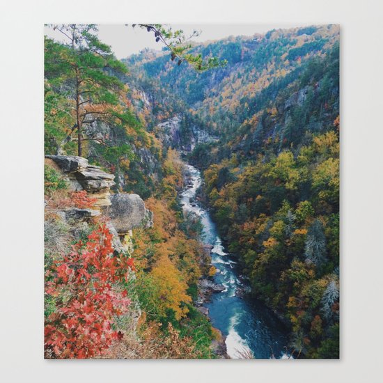 Fall Creek Canvas Print