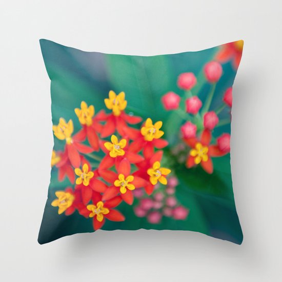 fireworks Throw Pillow