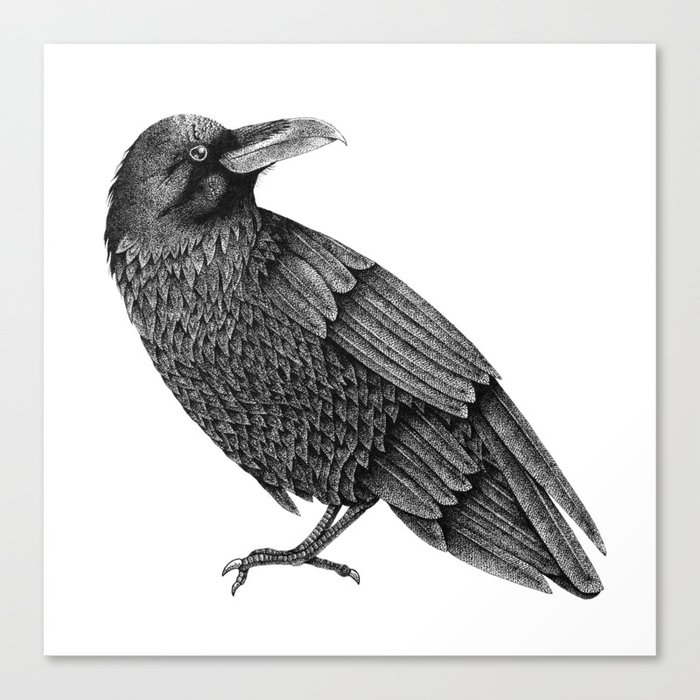 raven Canvas Print