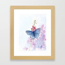Butterfly blue Framed Art Print