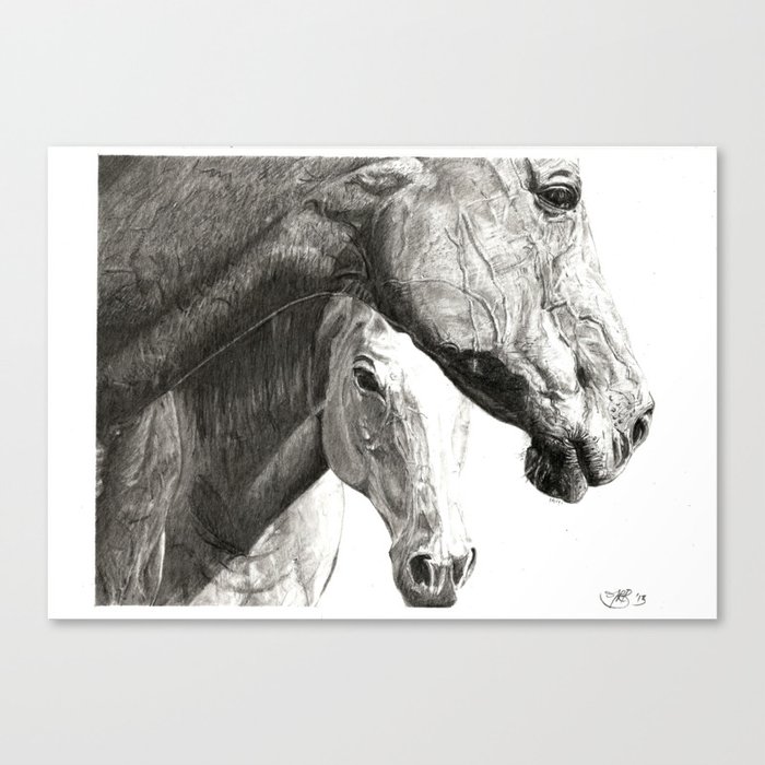 Equines Canvas Print