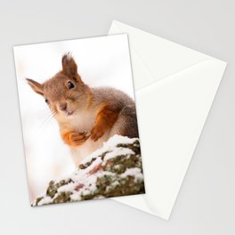 Squirrel in first snow #decor #society6 #buyart Stationery Card